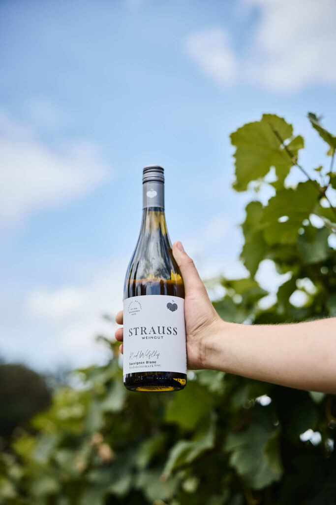 Sauvignon Blanc im Fokus - im Hintergrund Weingut Strauss