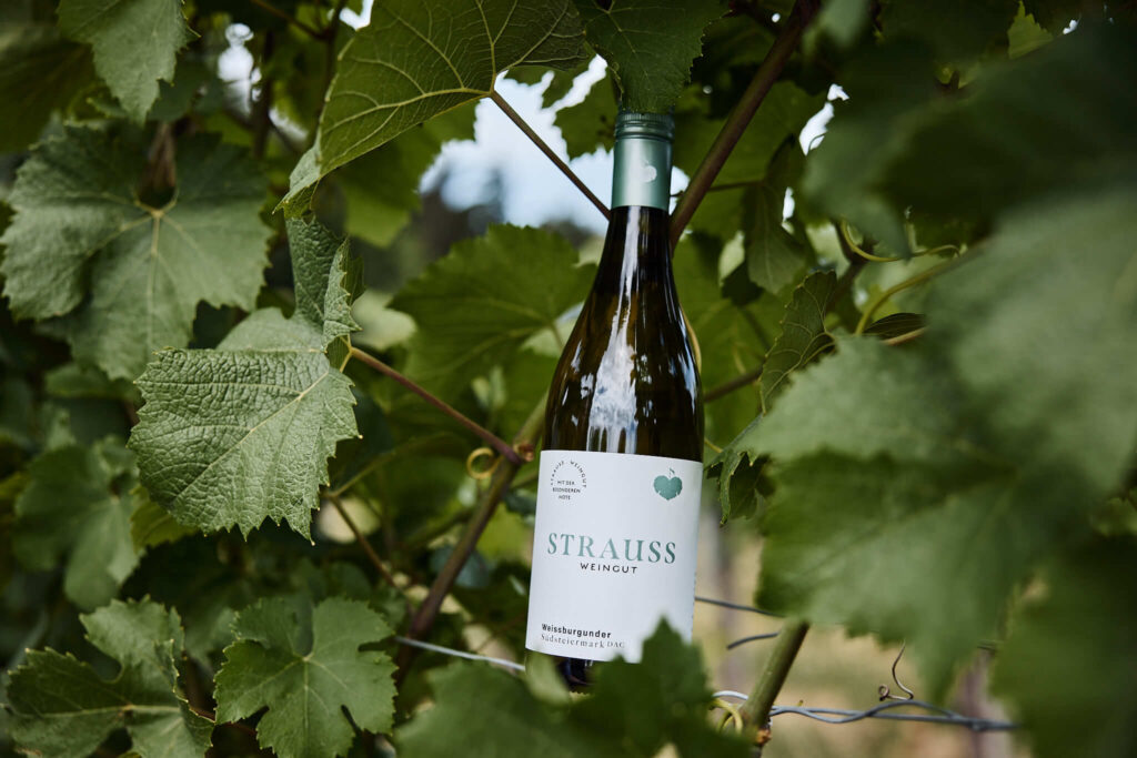 Weinflasche von Weingut Strauss inmitten grüner Weinreben